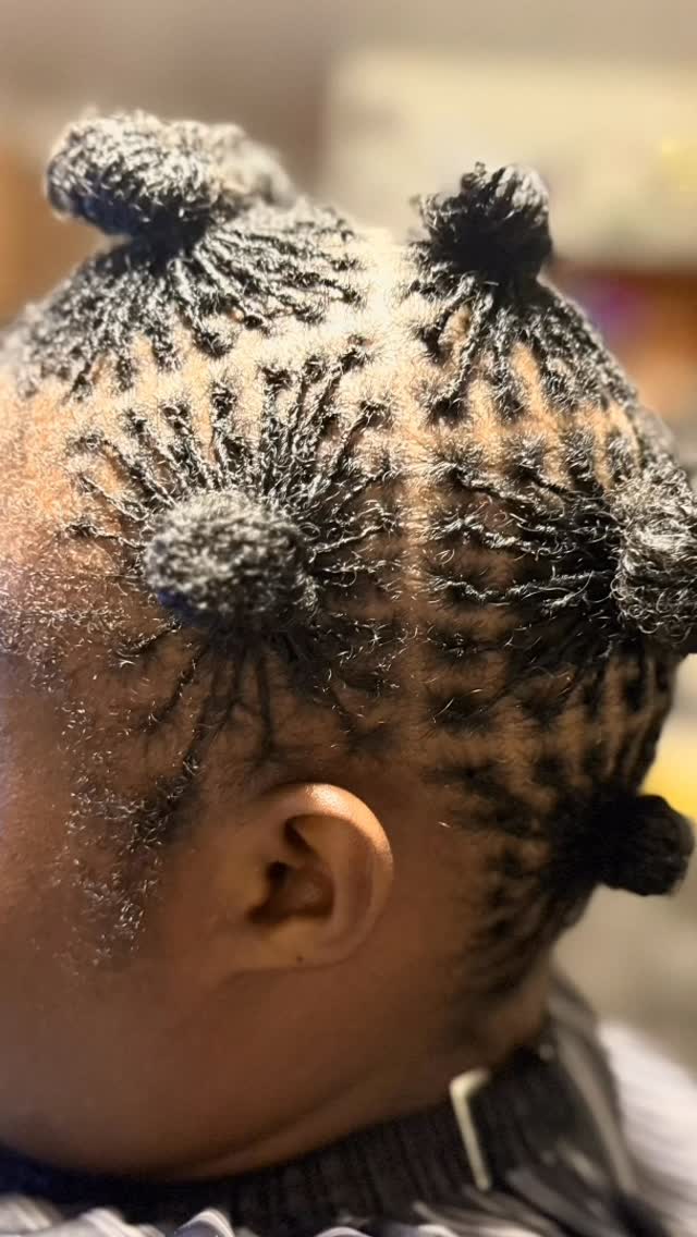 Close-up of a person's head with neatly styled twisted and braided hair.