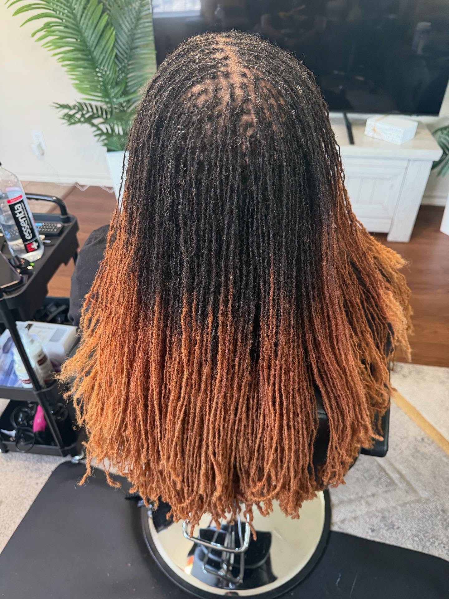 Long dreadlocks with a smooth transition from dark roots to golden brown tips.
