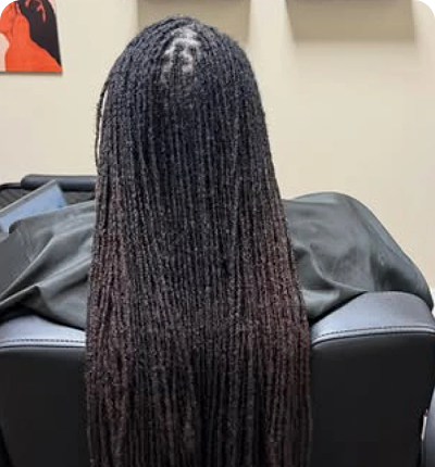 Long, neatly styled dreadlocks cascading down the back.