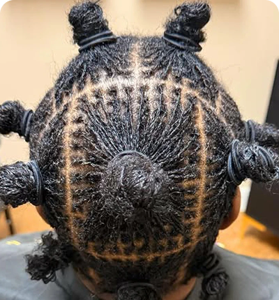 Intricately braided hairstyle with multiple small buns.